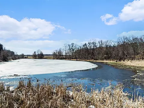 Winter, Albion, MI 49224 photo 4