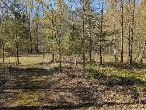Vl 0000 108th Ave, Pullman, MI 49450 photo 6