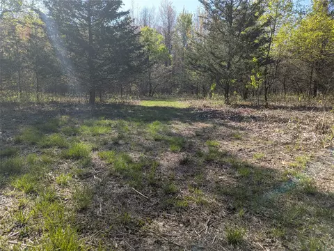 Vl 0000 108th Ave, Pullman, MI 49450 photo 9
