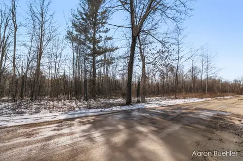 Vl 0000 108th Ave, Pullman, MI 49450 photo 39
