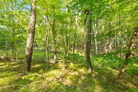 4201 E 20th, White Cloud, MI 49349 photo 18