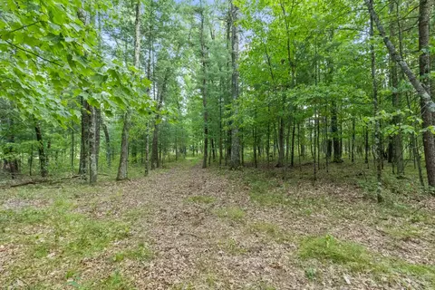 4201 E 20th, White Cloud, MI 49349 photo 5