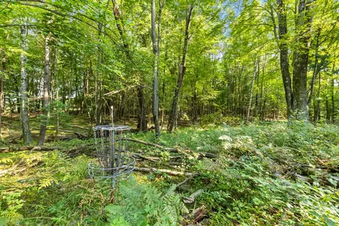 4201 E 20th, White Cloud, MI 49349 photo 17