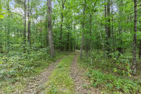 4201 E 20th, White Cloud, MI 49349 photo 4
