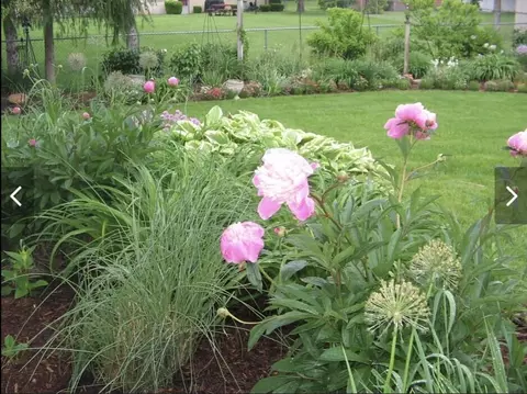 Exterior - 829 Thorntree, Jackson, MI 49203 photo 22 of 26