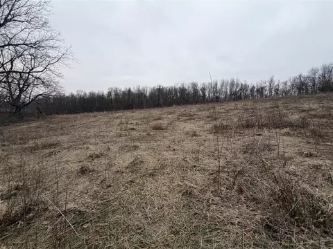 Born, Jones, MI 49061 photo 41