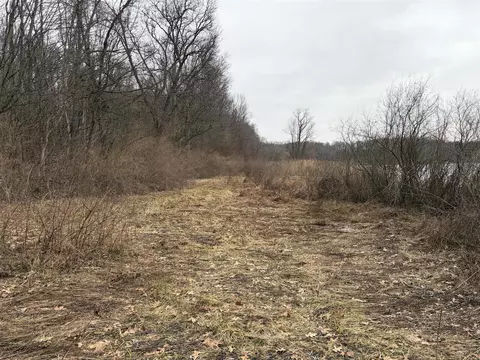 Born, Jones, MI 49061 photo 25