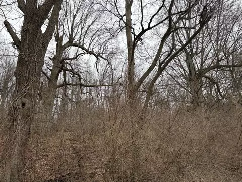 Born, Jones, MI 49061 photo 26