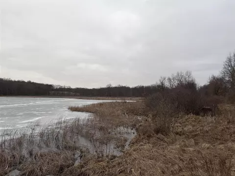 Born, Jones, MI 49061 photo 27