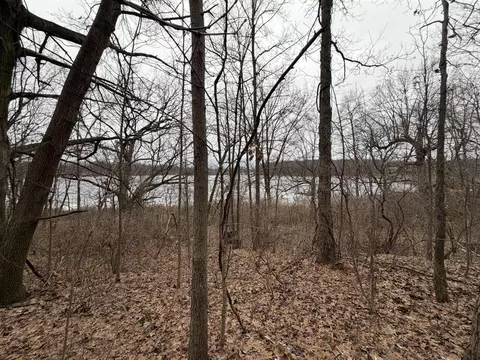 Born, Jones, MI 49061 photo 32