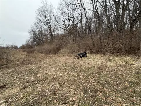 Born, Jones, MI 49061 photo 30