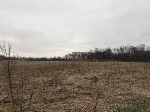 Born, Jones, MI 49061 photo 34