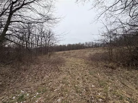 Born, Jones, MI 49061 photo 12