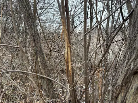 Born, Jones, MI 49061 photo 19