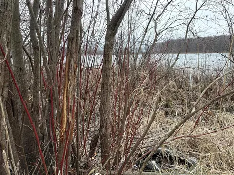Born, Jones, MI 49061 photo 31
