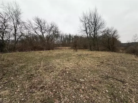 Born, Jones, MI 49061 photo 23