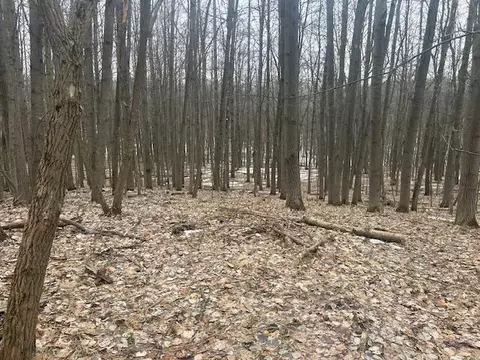9735 Pere Marquette, Canadian Lakes, MI 49346