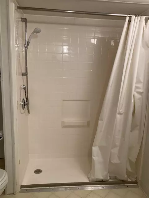 Bath - 7737 NE County Line, Riverdale, MI 48877 photo 5 of 7