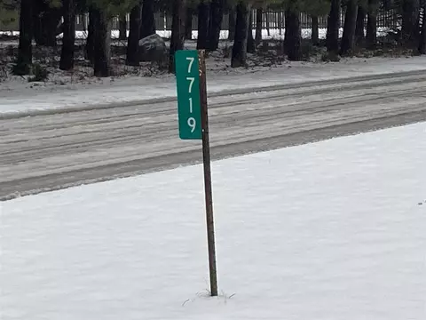 Other - 7737 NE County Line, Riverdale, MI 48877 photo 13 of 17