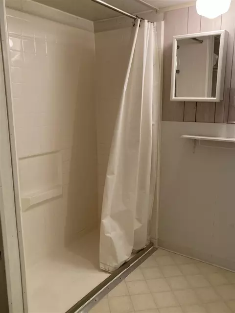 Bath - 7737 NE County Line, Riverdale, MI 48877 photo 4 of 7