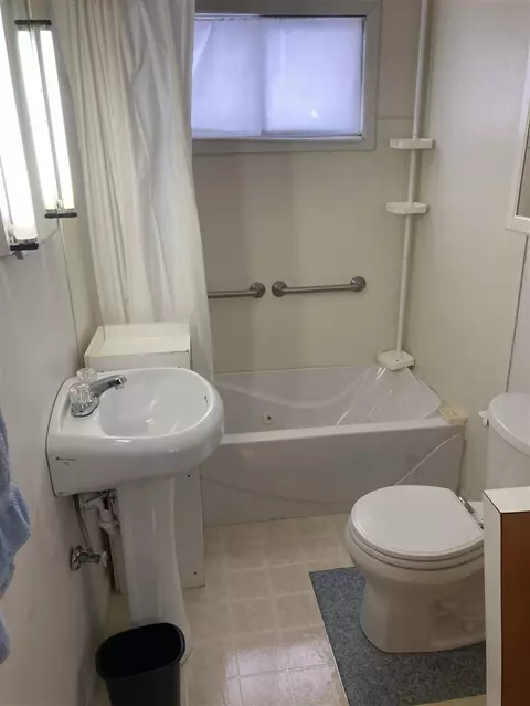Bath - 7737 NE County Line, Riverdale, MI 48877 photo 3 of 7