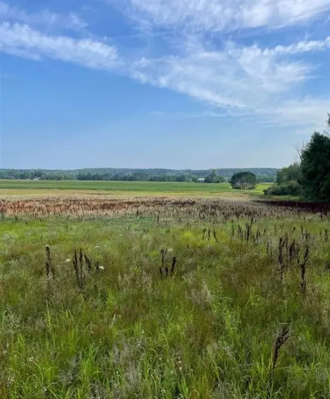 10 Acres - 3 Mile, Reed City, MI 49677