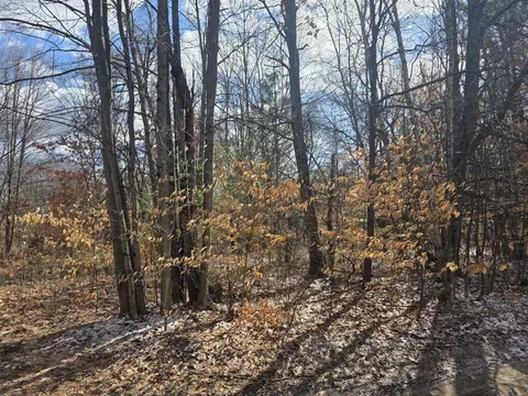 3 Rd St, White Cloud, MI 49349