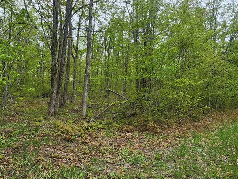 Valleyridge, Alba, MI 49611