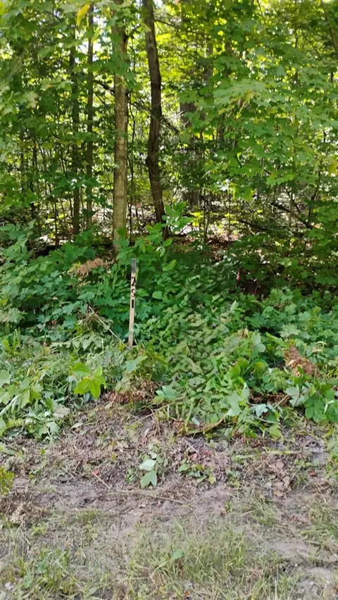Valleyridge, Alba, MI 49611 photo 11