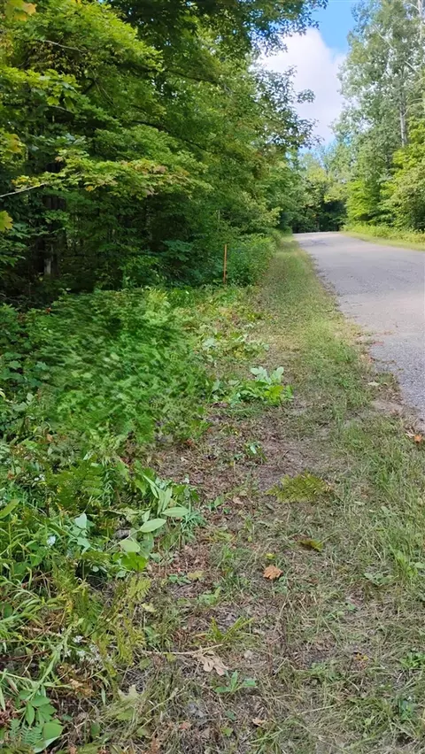 Valleyridge, Alba, MI 49611 photo 9