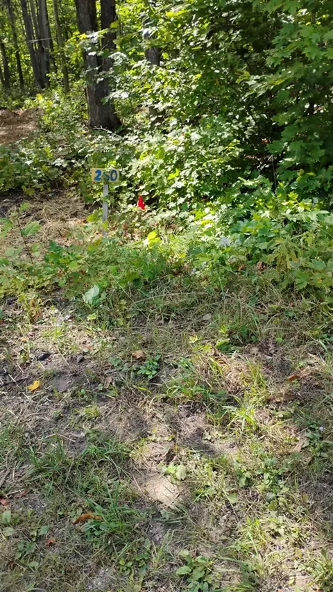 Valleyridge, Alba, MI 49611 photo 13