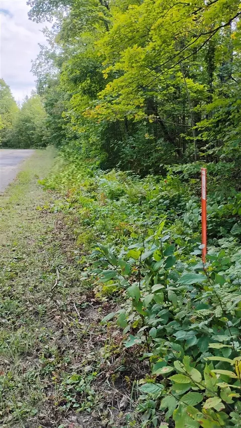Valleyridge, Alba, MI 49611 photo 10