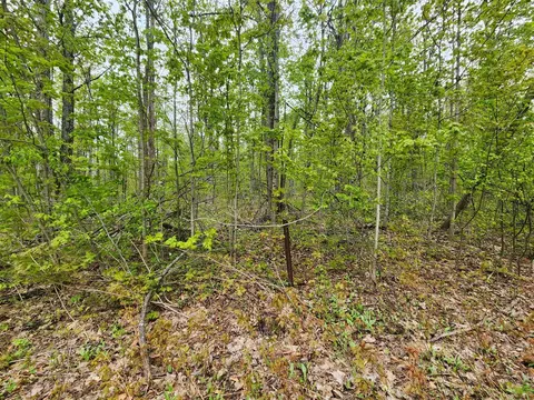 Valleyridge, Alba, MI 49611 photo 12