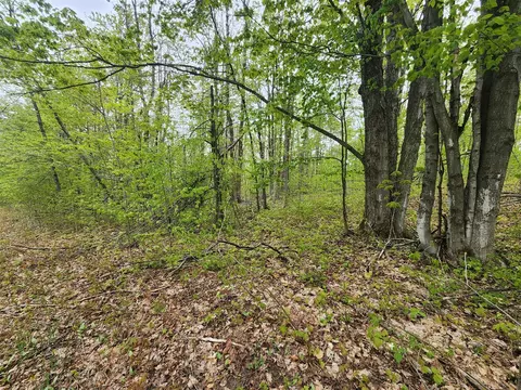 Valleyridge, Alba, MI 49611