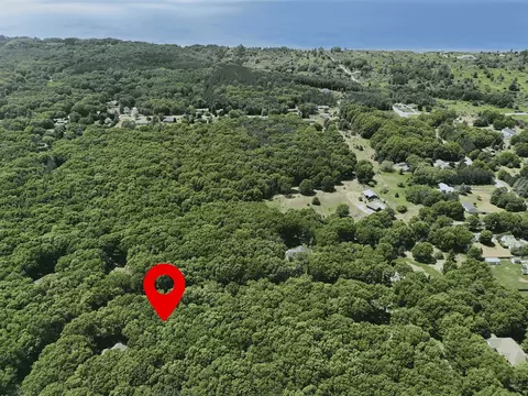 meadow wood, Manistee, MI 49660