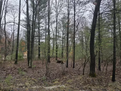 4802 E 96th, Newaygo, MI 49337 photo 2