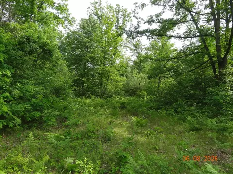 518 S Oak, White Cloud, MI 49349 photo 6
