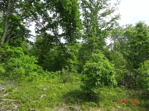 518 S Oak, White Cloud, MI 49349 photo 4