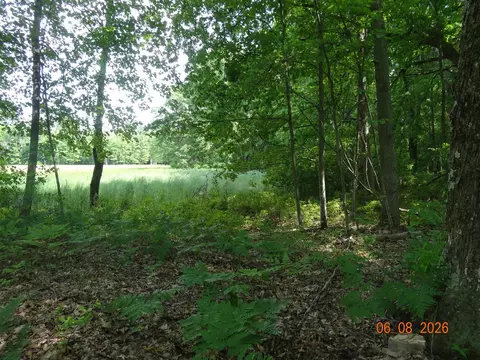 518 S Oak, White Cloud, MI 49349 photo 16