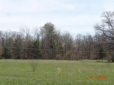 518 S Oak, White Cloud, MI 49349