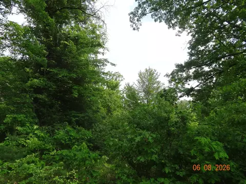 518 S Oak, White Cloud, MI 49349 photo 5