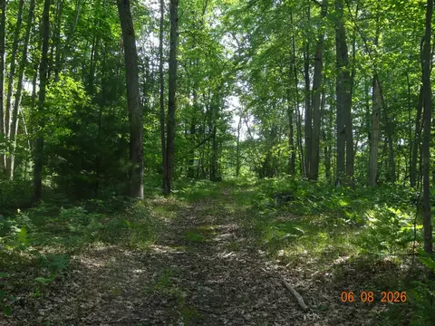 518 S Oak, White Cloud, MI 49349 photo 17