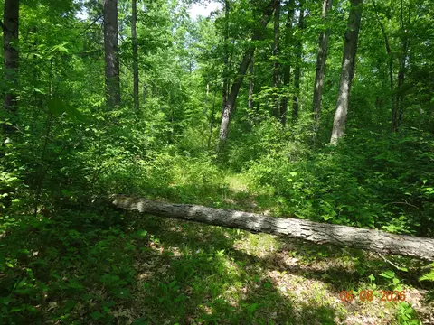518 S Oak, White Cloud, MI 49349 photo 7