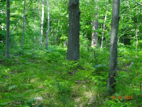 518 S Oak, White Cloud, MI 49349 photo 14