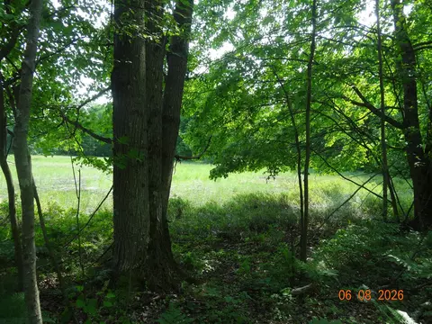 518 S Oak, White Cloud, MI 49349 photo 15