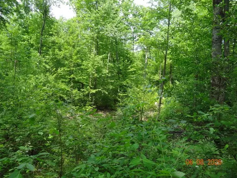 550 S Oak, White Cloud, MI 49349 photo 9