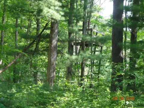550 S Oak, White Cloud, MI 49349 photo 17