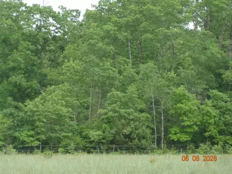550 S Oak, White Cloud, MI 49349 photo 4