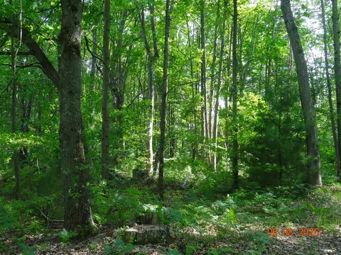 550 S Oak, White Cloud, MI 49349 photo 10