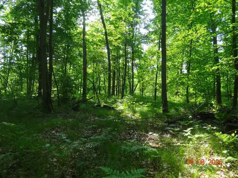 550 S Oak, White Cloud, MI 49349 photo 13